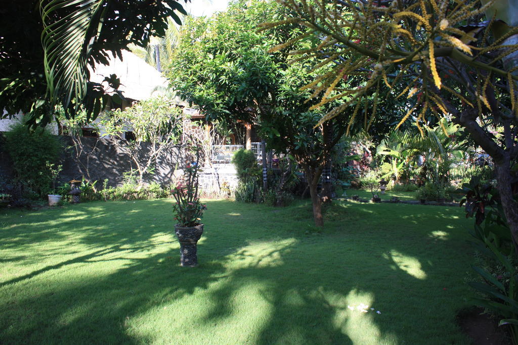 Cleopatra Beach Bungalows Lovina (Bali) Phòng bức ảnh
